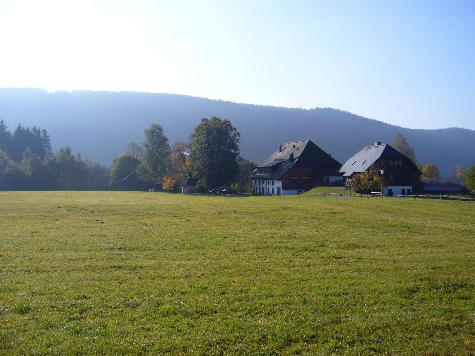 Hermeshof Und Biohaus 蒂蒂湖-新城 外观 照片